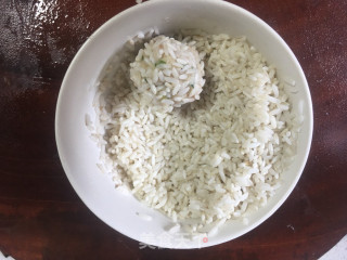 珍珠肉丸的做法步骤：5