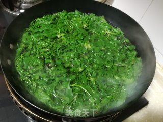 荠菜春卷的做法步骤：2