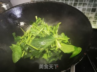 鸡蛋炒菠菜的做法步骤：7