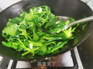 鸡蛋炒菠菜的做法步骤：9