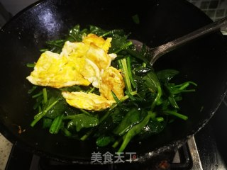 鸡蛋炒菠菜的做法步骤：10