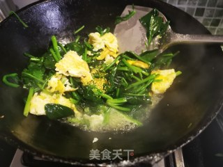 鸡蛋炒菠菜的做法步骤：11