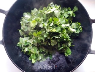 草头炒腊肉的做法步骤：5