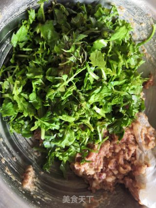 荠菜饺子的做法步骤：4