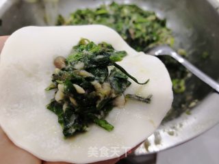 荠菜饺子的做法步骤：7