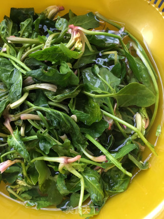 “清肠食谱”腊八蒜麻汁菠菜的做法步骤：1