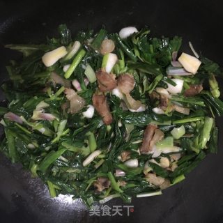 五花肉炒蒜苗的做法步骤：5