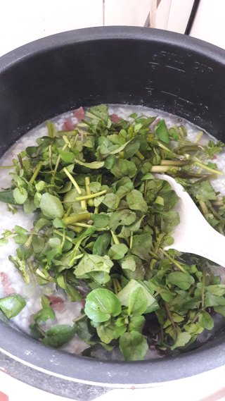 西洋菜猪红粥的做法步骤：6