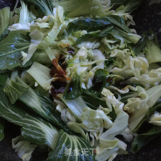 蚝油包菜的做法步骤：6