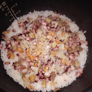海味中梅焗饭的做法步骤：10