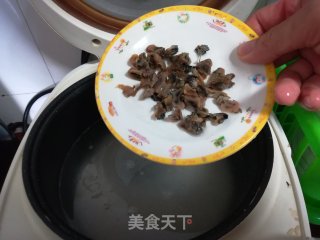 扇贝肉蚝豉粥的做法步骤：2