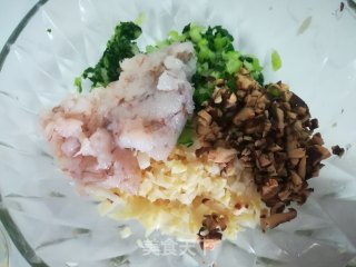 春日应季美食——虾仁青菜水晶饺的做法步骤：5