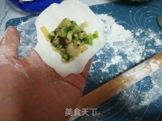 春日应季美食——虾仁青菜水晶饺的做法步骤：13