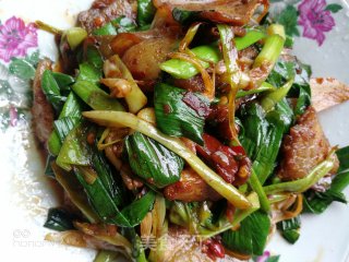 四川     蒜苗回锅肉的做法步骤：12