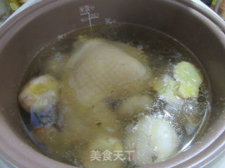 荸荠炖鸡腿的做法步骤：6