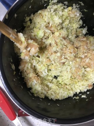 白菜鸡肉包的做法步骤：5