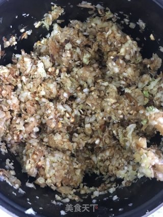 白菜鸡肉包的做法步骤：6