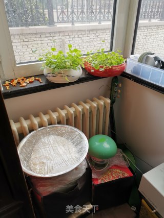 洋葱肉包子电蒸锅的做法步骤：21