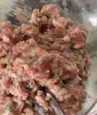 萝卜丝猪肉馅饼的做法步骤：4