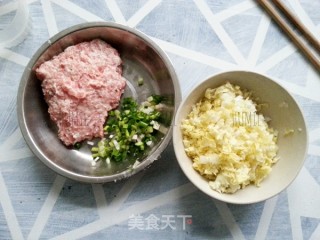 白菜猪肉蒸饺的做法步骤：1