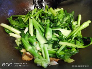 五花肉炒菜心的做法步骤：4