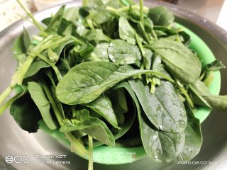 韭菜肉末菠菜饺子的做法步骤：1