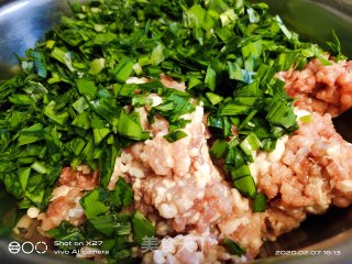 韭菜肉末菠菜饺子的做法步骤：4