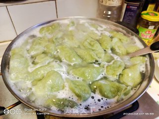 韭菜肉末菠菜饺子的做法步骤：10