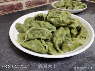 韭菜肉末菠菜饺子的做法步骤：12