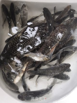 煎鲫鱼的做法步骤：1