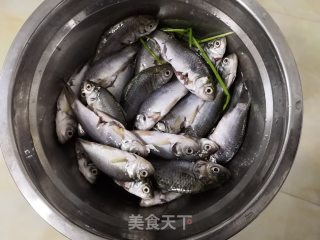 煎鲫鱼的做法步骤：4
