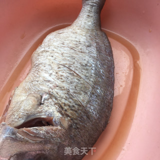 红烧加吉鱼的做法步骤：1