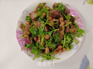 香菜拌牛肉的做法步骤：9