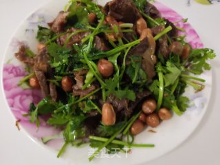香菜拌牛肉的做法步骤：10