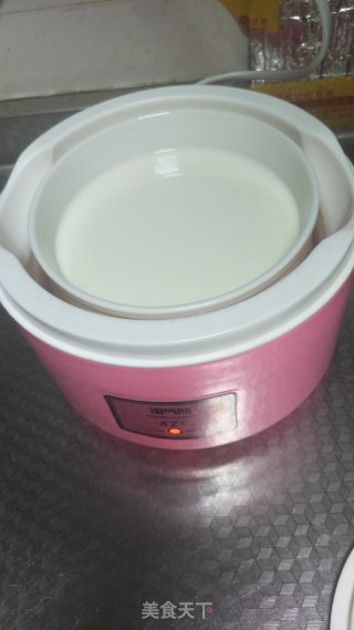 自制酸奶的做法步骤：2