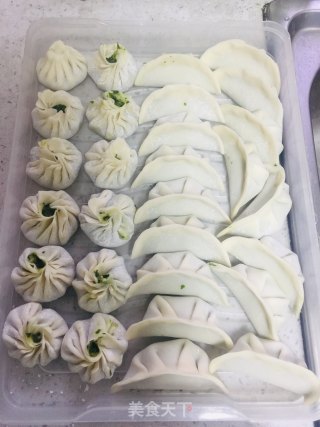 荠菜猪肉烧麦的做法步骤：4