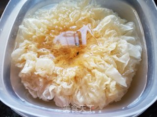 川贝海底椰双雪汤的做法步骤：5