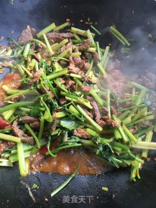 香芹炒牛肉的做法步骤：10
