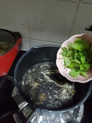 紫菜蛋花香菜汤的做法步骤：5