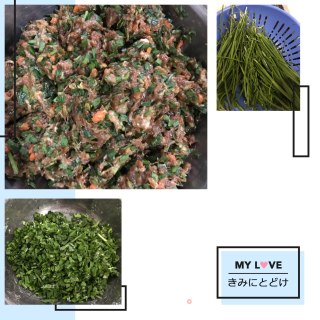 翡翠饺子????的做法步骤：3