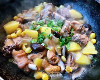 白果炖鸡的做法步骤：11