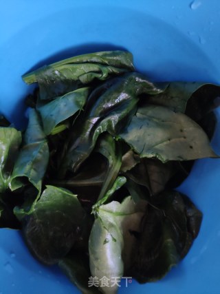 翡翠饺子的做法步骤：1
