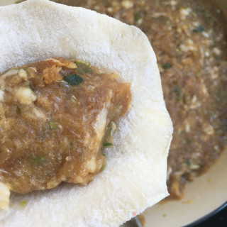 美味鲜肉包的做法步骤：10