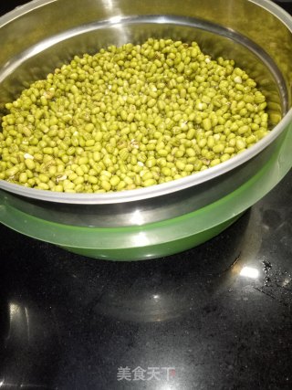 发绿豆芽的做法步骤：2