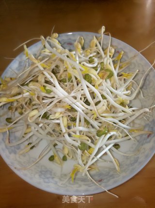 发绿豆芽的做法步骤：5