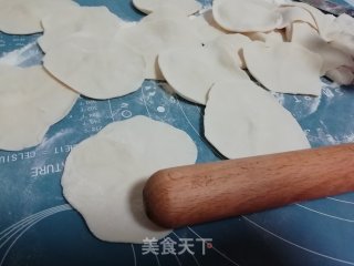紫萝卜猪肉馅饺子的做法步骤：7