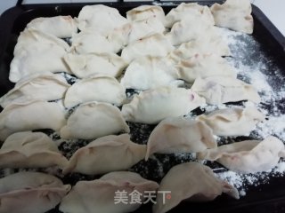 紫萝卜猪肉馅饺子的做法步骤：9