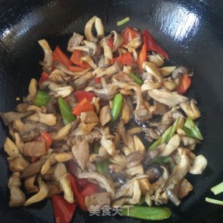 双椒炒蘑菇的做法步骤：7