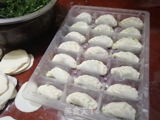 手工韭菜饺子的做法步骤：10