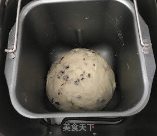 杏仁蔓越莓小餐包的做法步骤：4